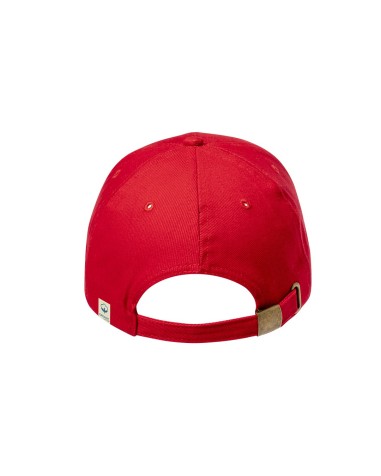 Organic Cotton 6 Panel Cap - Calipso