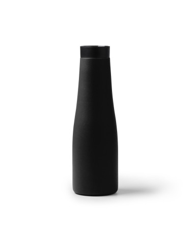 Stainless steel thermal bottle with...