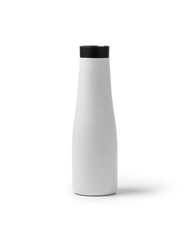 Stainless steel thermal bottle with...