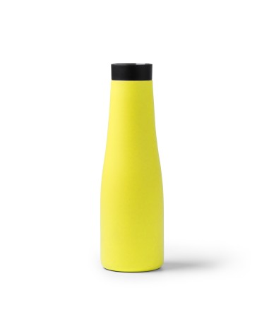 Stainless steel thermal bottle with...
