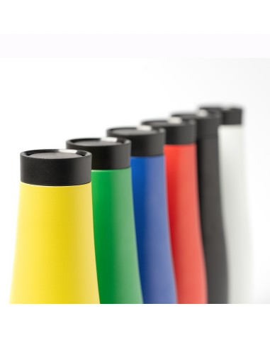 Stainless steel thermal bottle with...