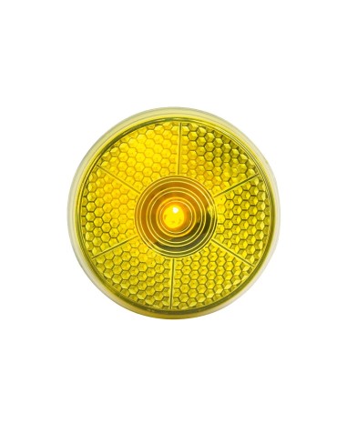 Security Light - Flash