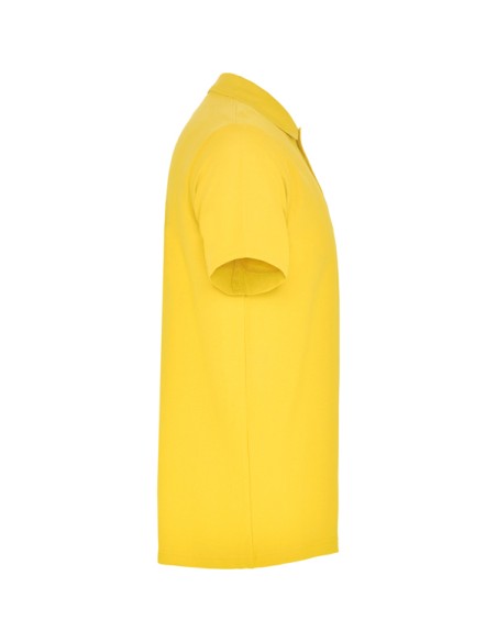 Polo manches courtes en piqué 100% coton, 180 g/m² - AUSTRAL ROLY