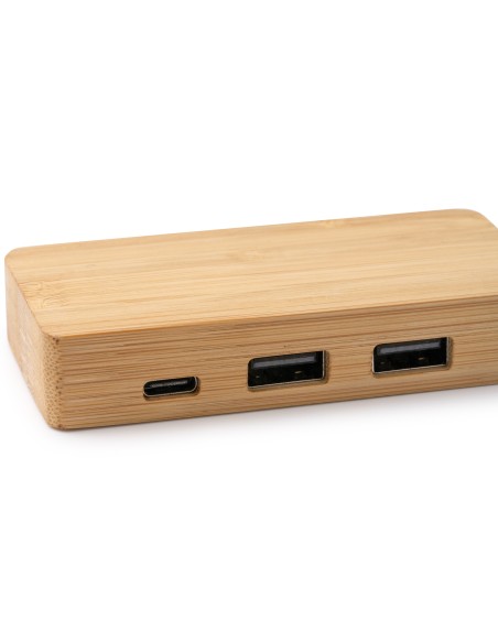 Customizable Bamboo USB Port - NEPTUNE
