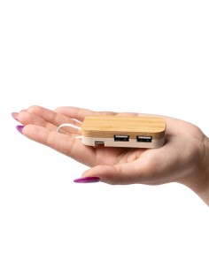 Port USB amb suport de... 2