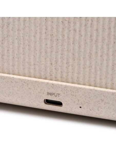 Làmpada Carregador Multifunció amb Disseny ECO - PAYTON