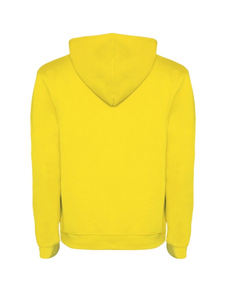 Hooded sweatshirt 50% Cotton 50% polyester brushed fleece 280g/m2 ADULT/JUNIOR - URBAN ROLY