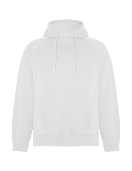 Sweat à capuche unisexe 65% coton biologique 35% polyester recyclé 300g/m2 - VINSON ROLY