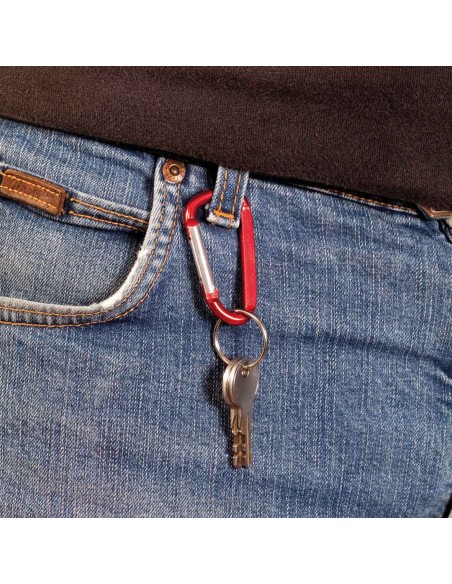 Carabiner keychain - Zoko