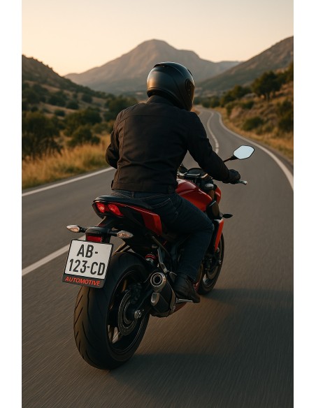 SUPPORT DE PLAQUE D'IMMATRICULATION DE MOTO PERSONNALISÉ