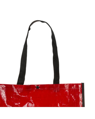 Biodegradable bag with long handles