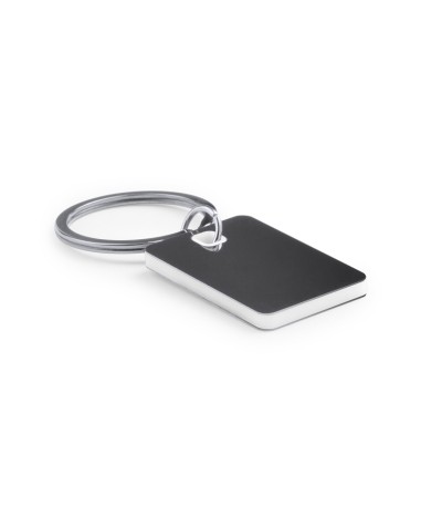 Stainless steel and plastic keychain... Stainless steel and plastic keychain...