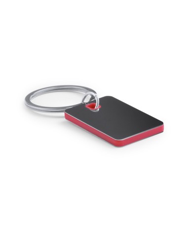 Stainless steel and plastic keychain... Stainless steel and plastic keychain...