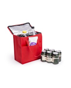 Insulated cooler bag - Lans 2