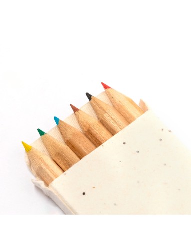 Pencil box with seeds for... Pencil box with seeds for...