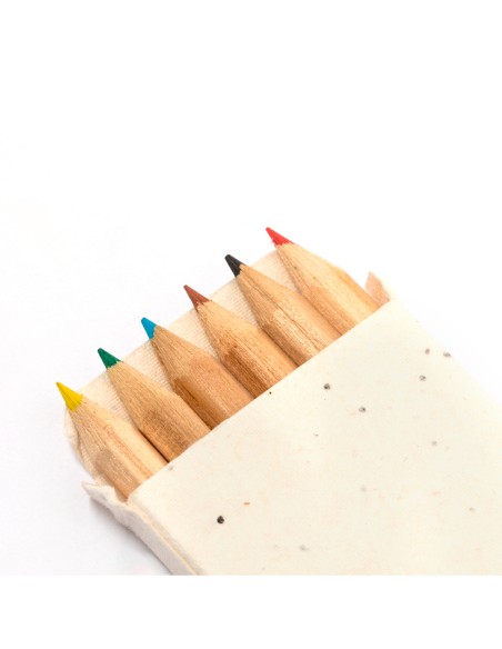 Boîte à crayons avec graines pour cadeaux personnalisés - Delar