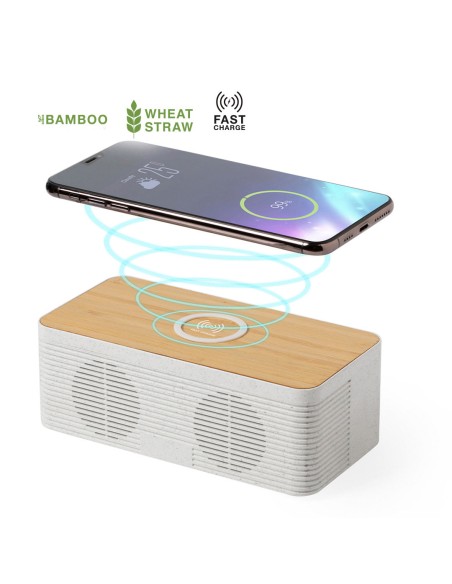 Haut-parleur chargeur mobile - Trecam