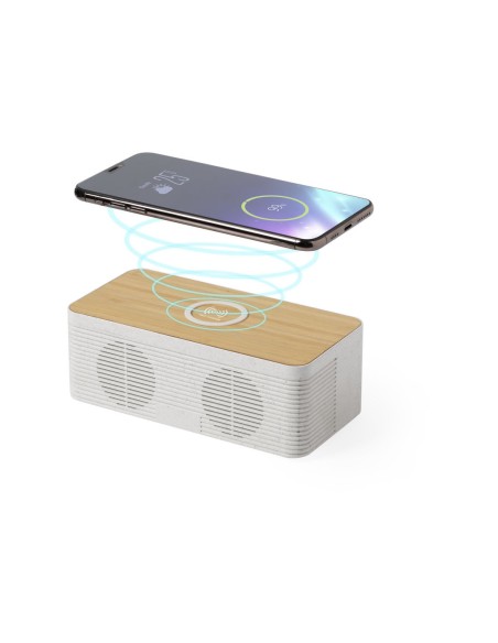 Haut-parleur chargeur mobile - Trecam