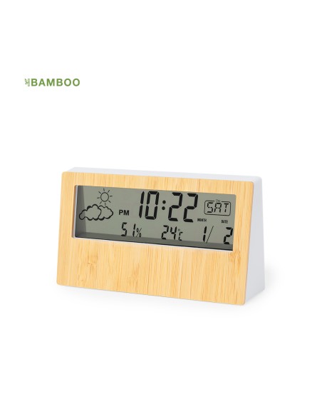 Customizable Weather Station - Roamer