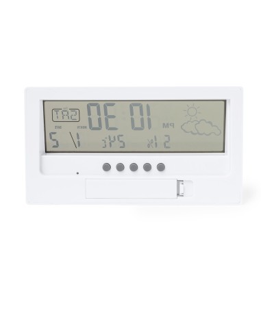 Customizable Weather Station - Roamer