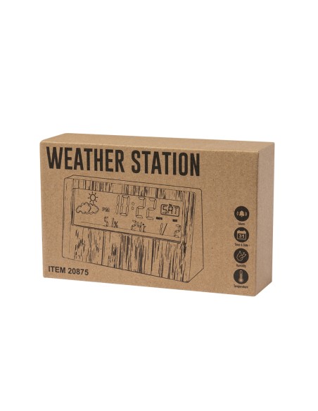 Estació Meteorològica Personalitzable - Roamer