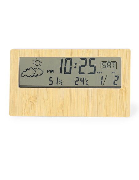 Customizable Weather Station - Roamer