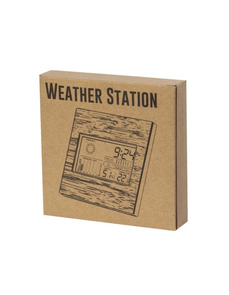 Customizable Weather Station - Behox