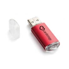 Memoria USB 2GB IMPORT AP1023
